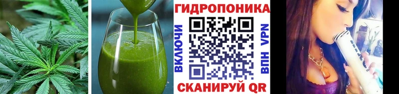 Canna-Cookies марихуана Кушва