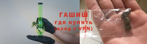 шишки Горно-Алтайск