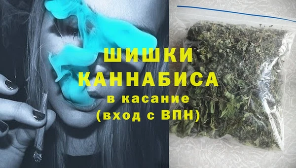 шишки Горно-Алтайск