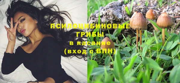 шишки Горно-Алтайск