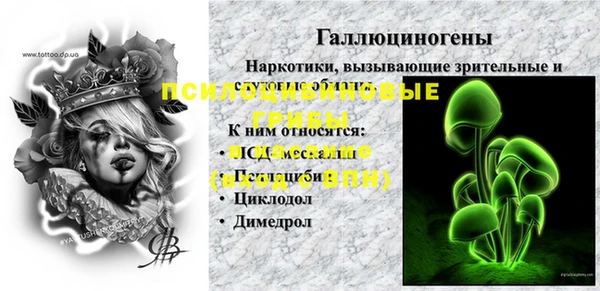 шишки Горно-Алтайск