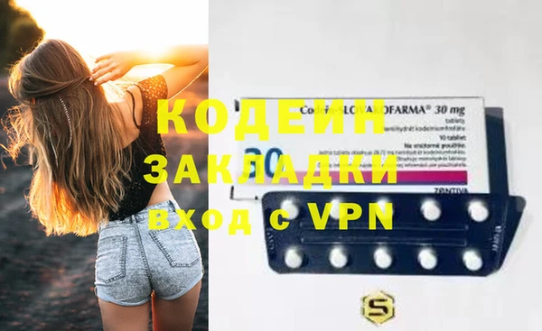 шишки Горно-Алтайск