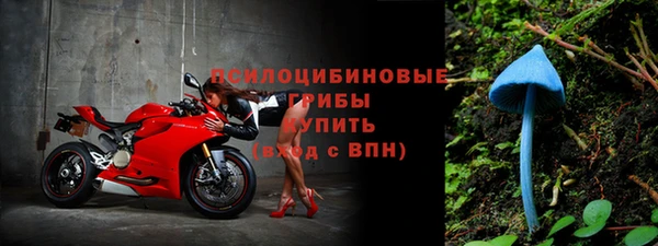 тгк Горняк